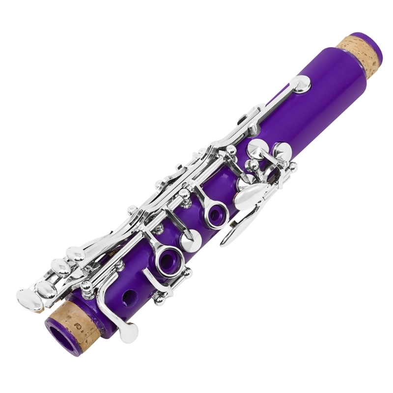 Musical Instrument In Orchestra - Ensemble d'instruments clarinette en plastique pour