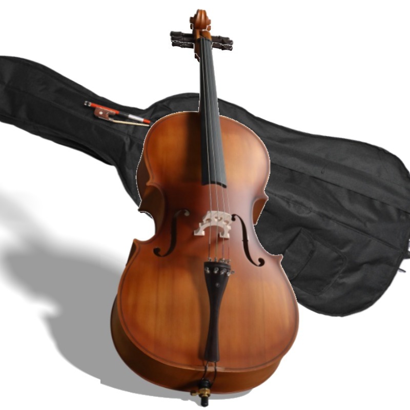 Violoncelle à panneau BASSWOOD - Musical Instrument In Orchestra avis et prix