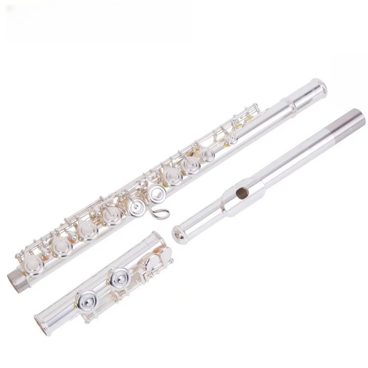 Flûte professionnelle en laito - Musical Instrument In Orchestra avis et prix