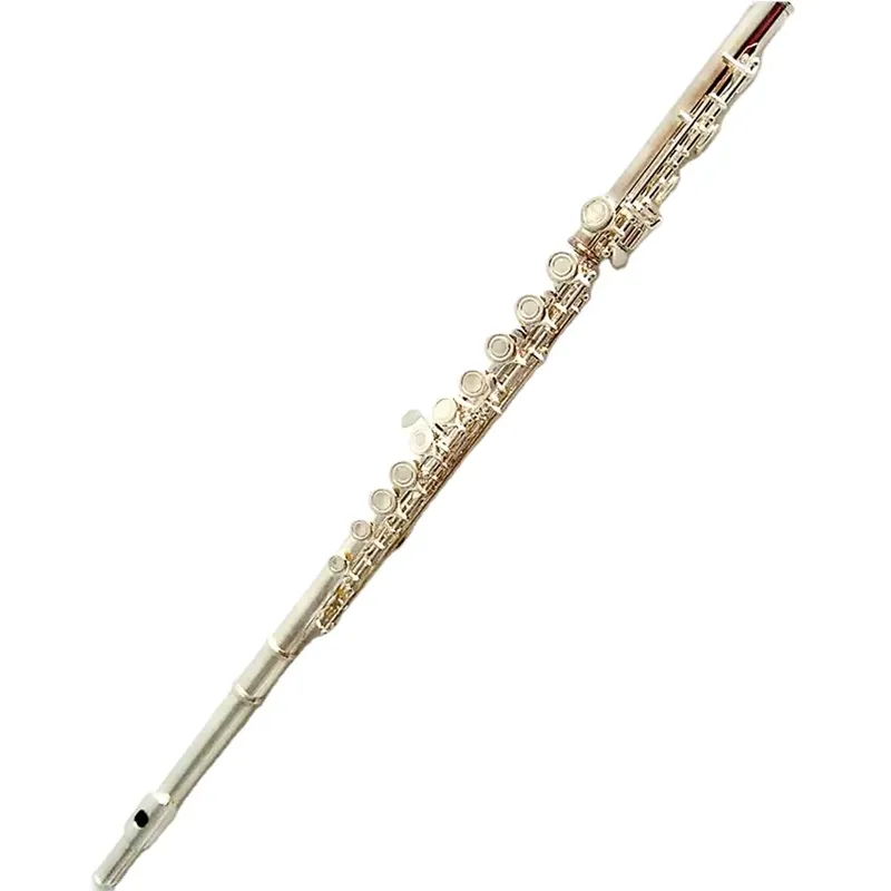 Flûte à bec ouvert plaquée arg - Musical Instrument In Orchestra avis et prix
