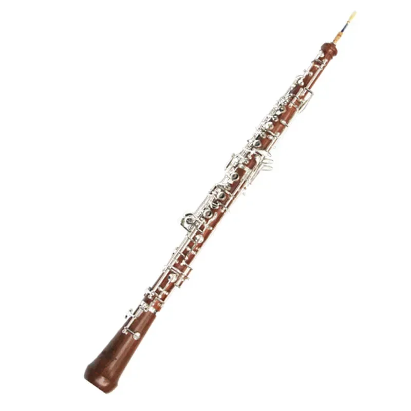Oboe C en laiton blanchi et pl - Musical Instrument In Orchestra avis et prix